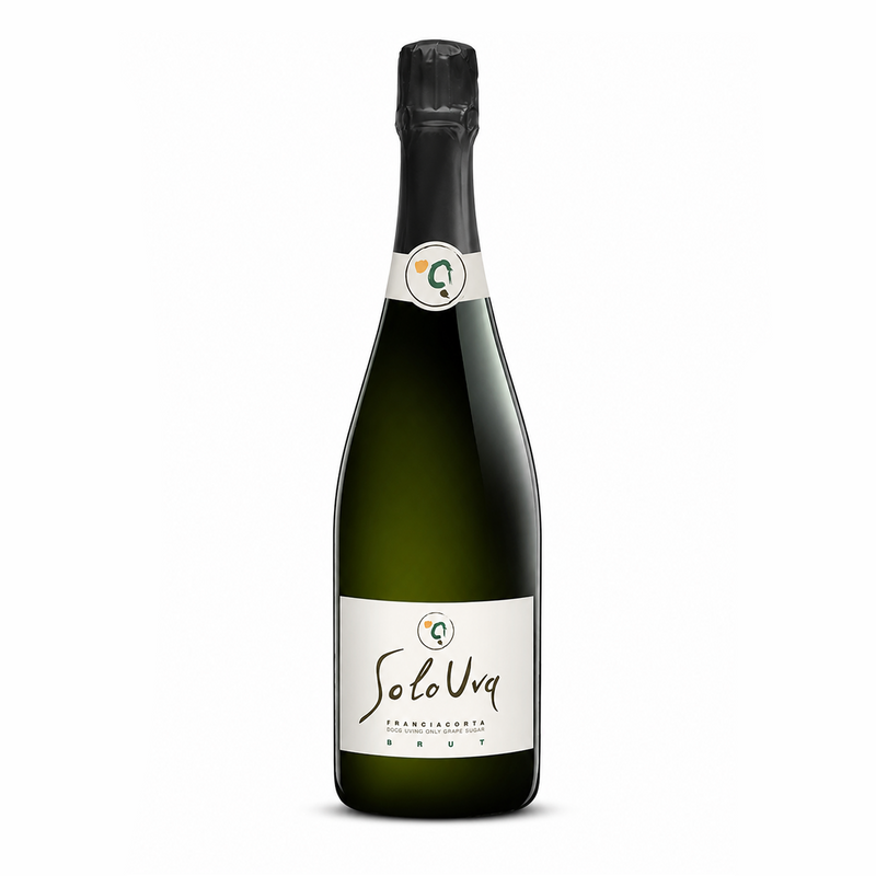 SoloUva — <br>Franciacorta Brut e Ragù di calamaro